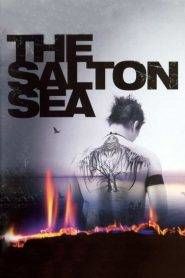 Salton Sea – Incubi e menzogne