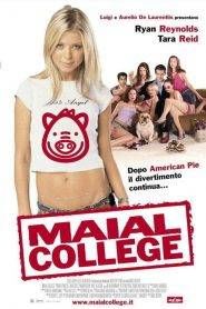 Maial college