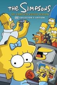 I Simpson 8