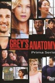 Grey’s Anatomy 1