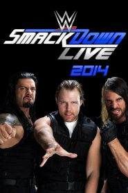 WWE SmackDown Live 16