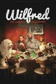 Wilfred 3