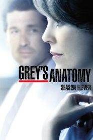 Grey’s Anatomy 11