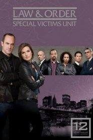 Law & Order – Unità vittime speciali 12