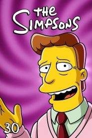 I Simpson 30