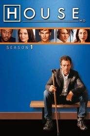 Dr. House – Medical Division 1