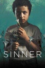 The Sinner 2