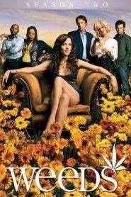 Weeds 2