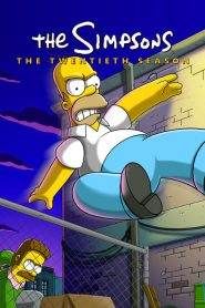 I Simpson 20