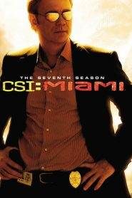 CSI: Miami 7