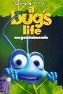 A bug’s life – Megaminimondo