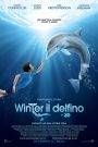L’incredibile storia di Winter il delfino