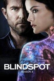 Blindspot 3