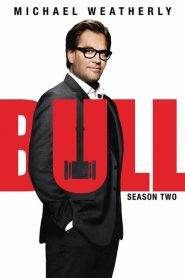 Bull 2