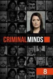 Criminal Minds 8