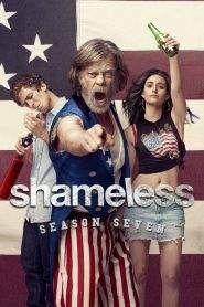 Shameless 7