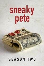 Sneaky Pete 2