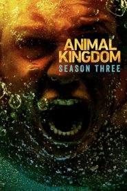 Animal Kingdom 3