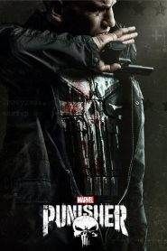 Marvel’s The Punisher 2