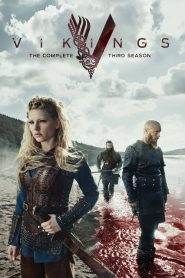 Vikings 3