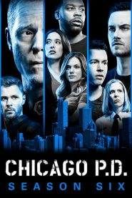 Chicago P.D. 6