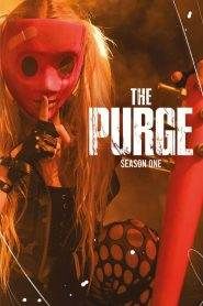 The Purge 1