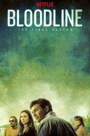 Bloodline 3