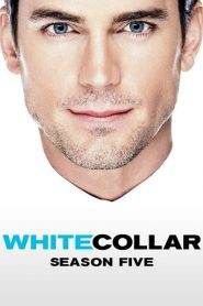 White Collar – Fascino criminale 5