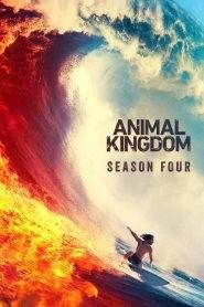 Animal Kingdom 4