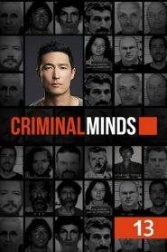 Criminal Minds 13