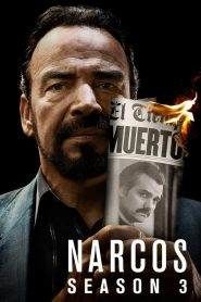 Narcos 3