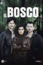 Il Bosco 1