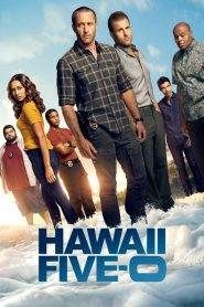 Hawaii Five-0 8