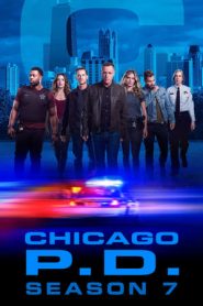 Chicago P.D. 7