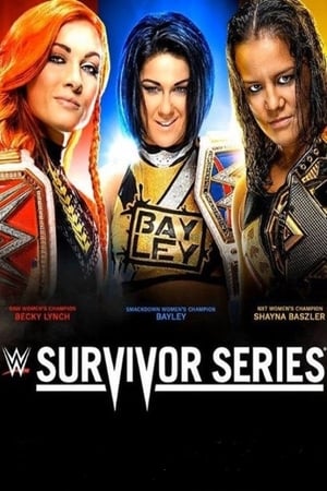 WWE Survivor Series 2019