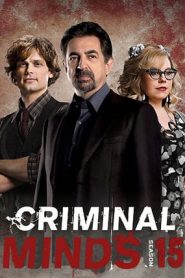 Criminal Minds 15