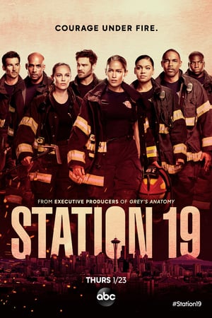 Station 19 3