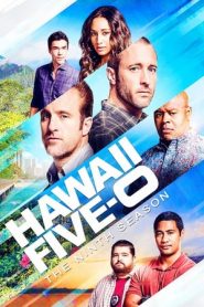 Hawaii Five-0 9