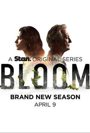 Bloom 2