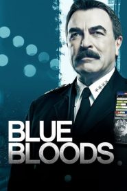 Blue Bloods 10