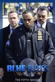 Blue Bloods 5