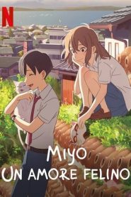 Miyo – Un amore felino