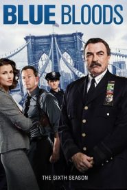 Blue Bloods 6