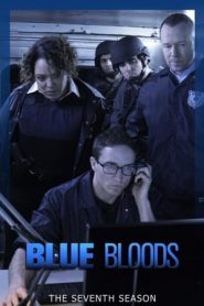 Blue Bloods 7