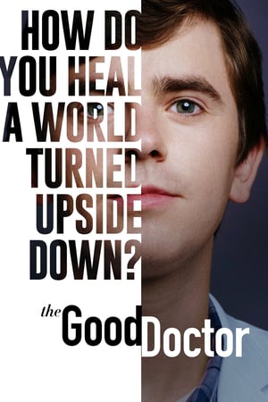 The Good Doctor 4