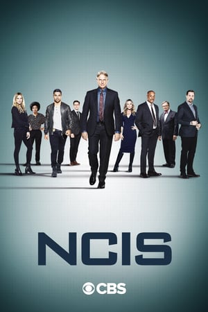 NCIS – Unità anticrimine 18