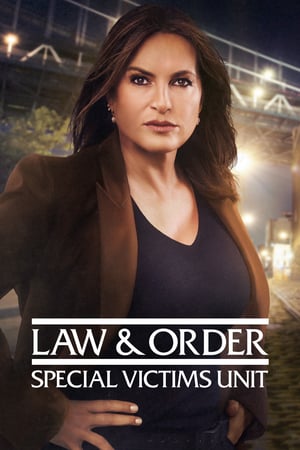 Law & Order – Unità vittime speciali 22