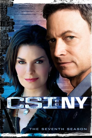 CSI: NY 7