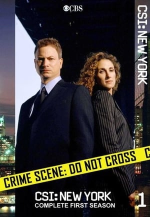 CSI: NY 1