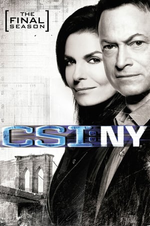 CSI: NY 9